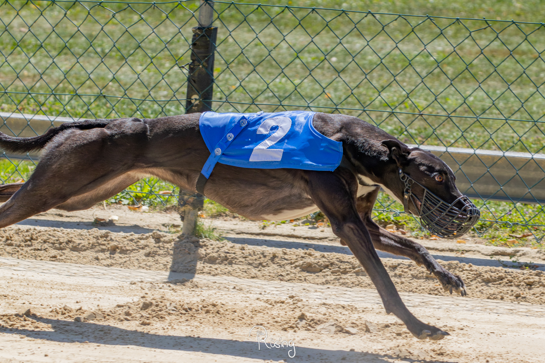 Training am 17.08.2025